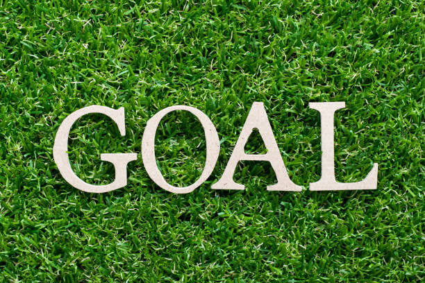 istock Wood alphabet in word goal on artificial green grass background 1013125666