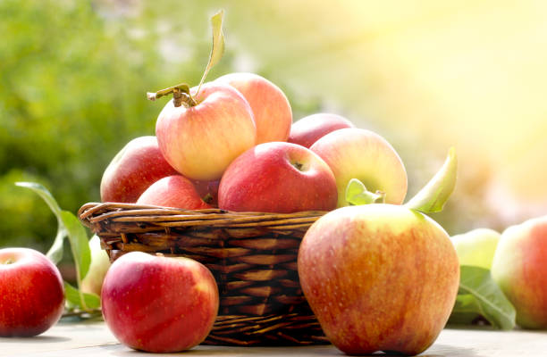 istock Apples in wicker basket on table - healthy organic apple 1013125816