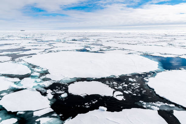 istock Ice pieces on the water in Arctic 1013126870