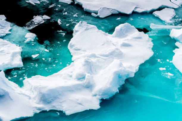 istock Ice pieces on the water in Arctic 1013128938