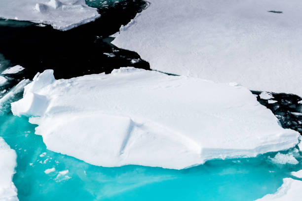 istock Ice pieces on the water in Arctic 1013128948