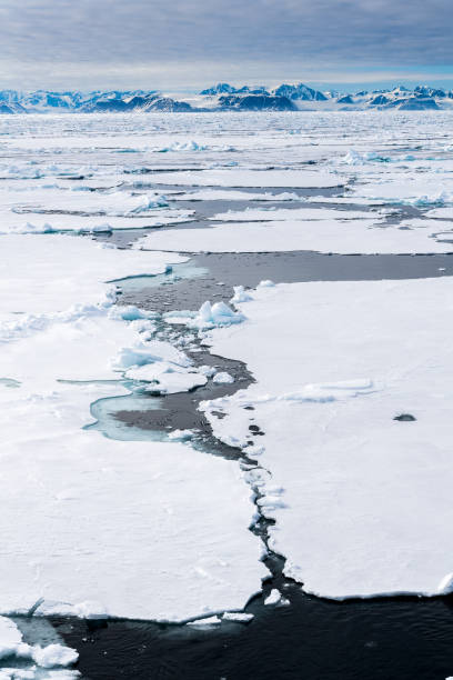 istock Ice landcape on the water in Arctic 1013128966