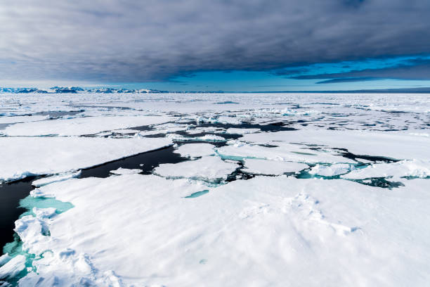 istock Ice landcape on the water in Arctic 1013128982