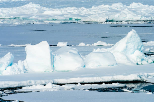 istock Ice landcape on the water in Arctic 1013129030
