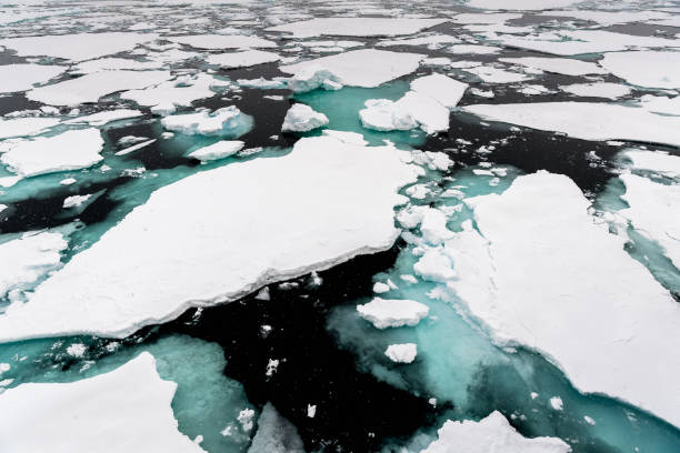 istock Ice landcape on the water in Arctic 1013129056