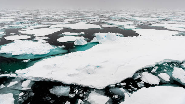 istock Ice landcape on the water in Arctic 1013129086