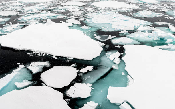 istock Ice landcape on the water in Arctic 1013129094