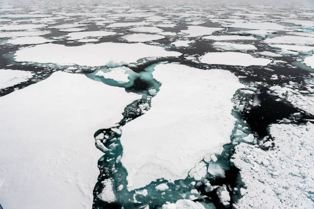 istock Ice landcape on the water in Arctic 1013129158