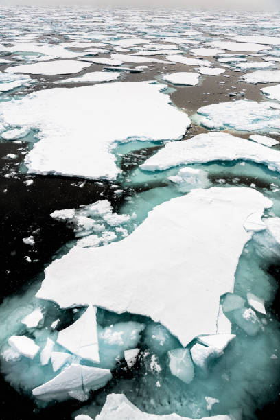 istock Ice landcape on the water in Arctic 1013129432
