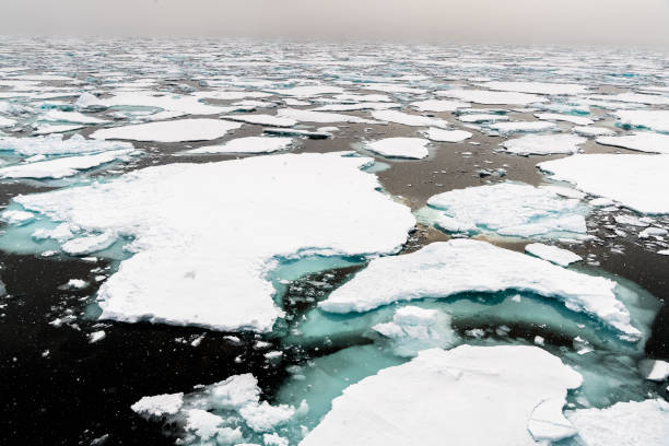 istock Ice landcape on the water in Arctic 1013129448