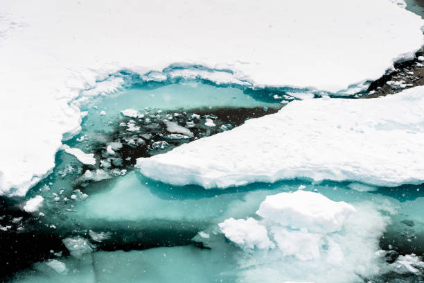 istock Ice landcape on the water in Arctic 1013129472
