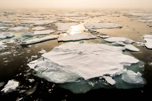 istock Ice landcape on the water in Arctic 1013129486
