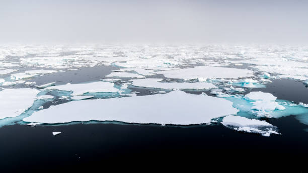 istock Ice landcape on the water in Arctic 1013129528