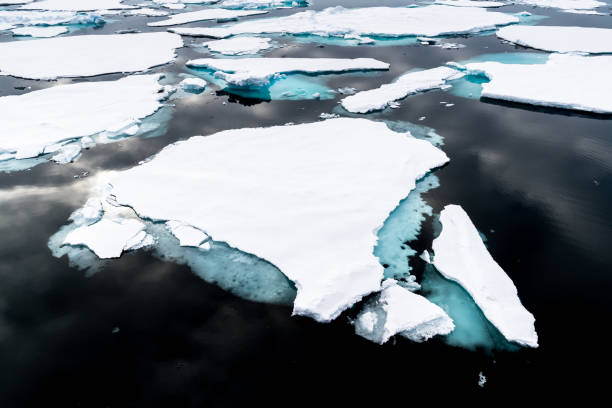 istock Ice landcape on the water in Arctic 1013129548