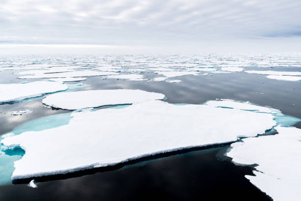 istock Ice landcape on the water in Arctic 1013129558