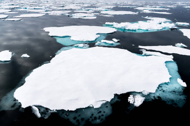 istock Ice landcape on the water in Arctic 1013129690