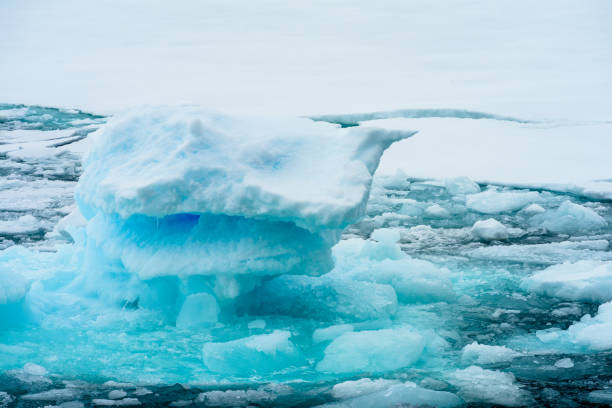 istock Ice pieces on the water in Arctic 1013129912