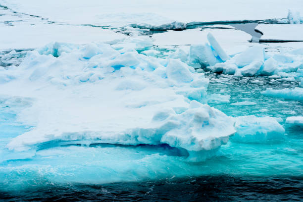 istock Ice pieces on the water in Arctic 1013129946