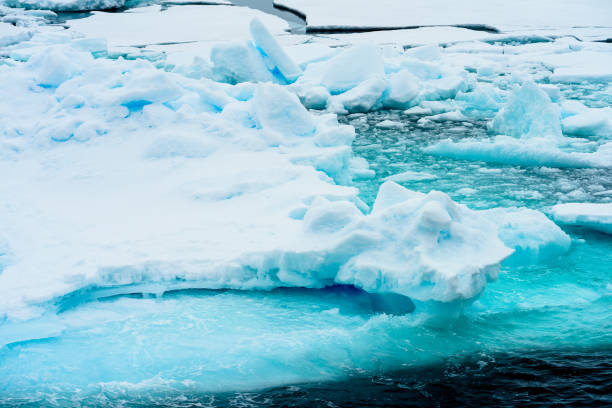 istock Ice pieces on the water in Arctic 1013129980