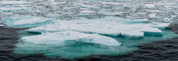 istock Ice pieces on the water in Arctic 1013130028