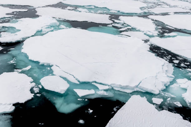 istock Ice landcape on the water in Arctic 1013130164