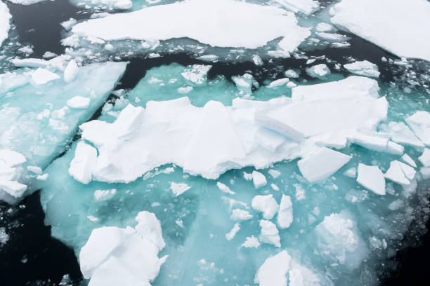 istock Ice pieces on the water in Arctic 1013130166