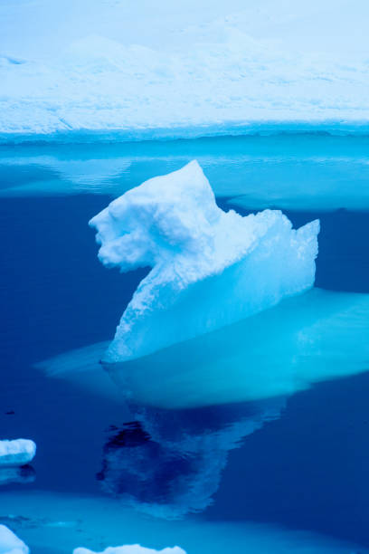 istock Ice pieces on the water in Arctic 1013130190