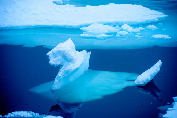 istock Ice pieces on the water in Arctic 1013130208
