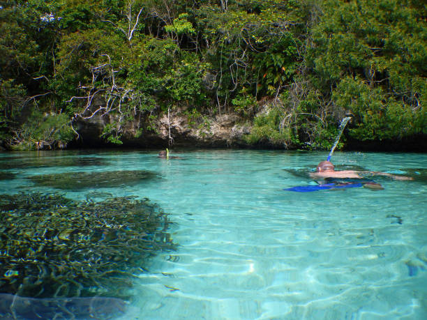 istock Snorkeling on Isle of Mare 1013130262