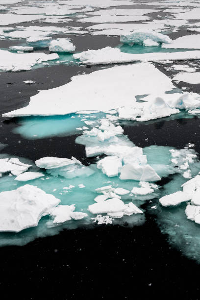 istock Ice landcape on the water in Arctic 1013130556