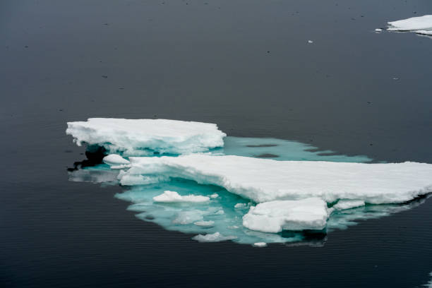 istock Little ice piece in Arctic 1013133184