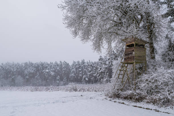 istock Hunters platform in winter full of snow 1013140162