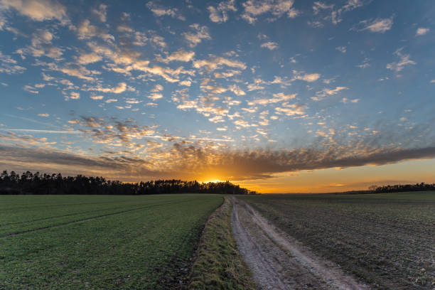 istock dirt track between fields leading to orange sunset behind the trees 1013140282