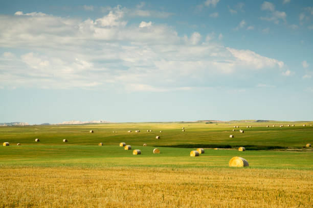 Hay bales in the countryside of South Dakota
