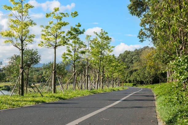 istock Unmanned Green Road in the park 1013147196