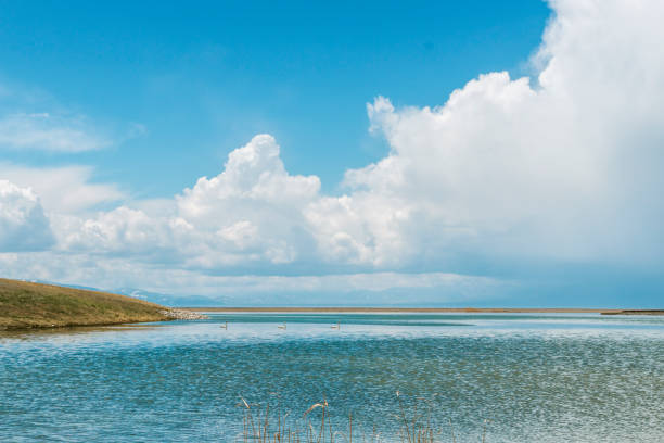 藍天白雲下的湖景 - 塞里木湖 個照片及圖片檔