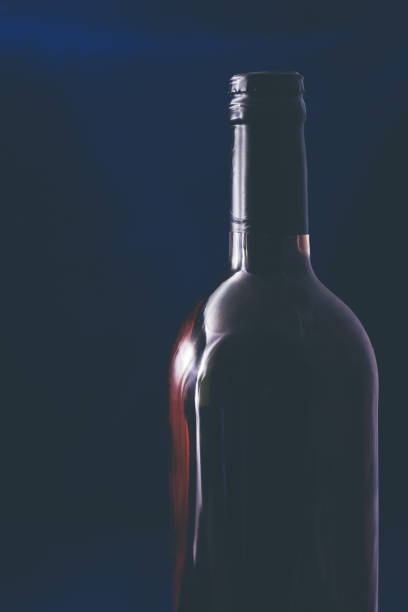 istock Bottle of wine on dark background. 1013152812