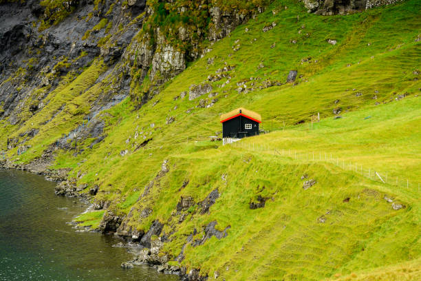 istock Faroe Island, Kingdom of Denmark 1013156146