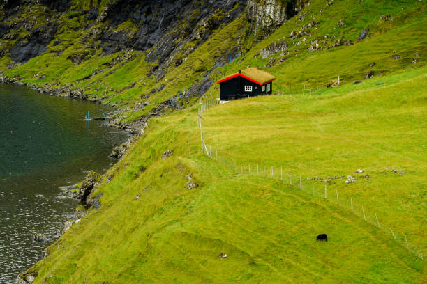 istock Faroe Island, Kingdom of Denmark 1013156206