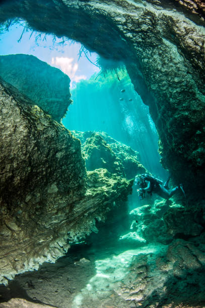 istock Scuba diving in the Casa Cenote, Mexico 1013159252