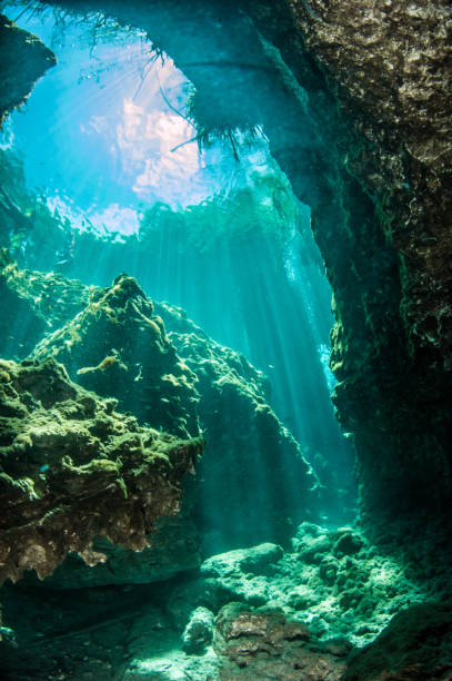 Scuba diving in the Casa Cenote, Mexico stock photo