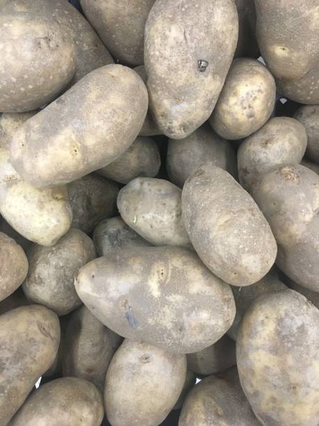 istock A piles of raw potatoes 1013175392