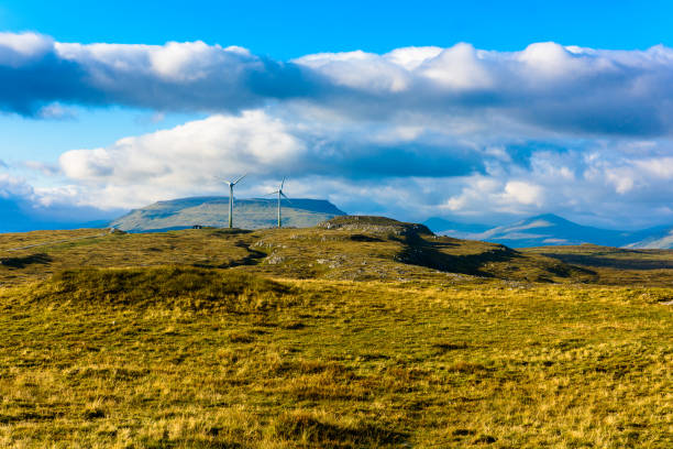 istock Faroe Island, Kingdom of Denmark 1013179156