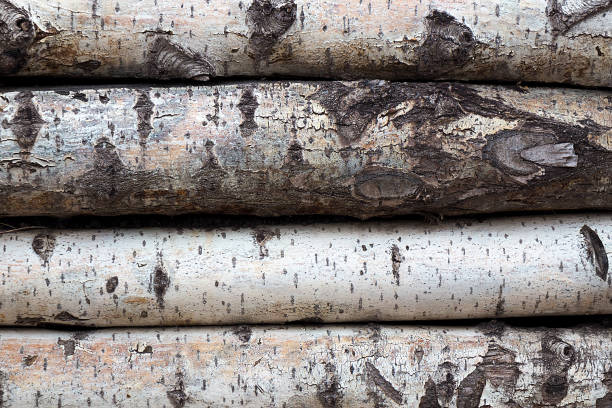 istock Old wooden logs close-up 1013179758