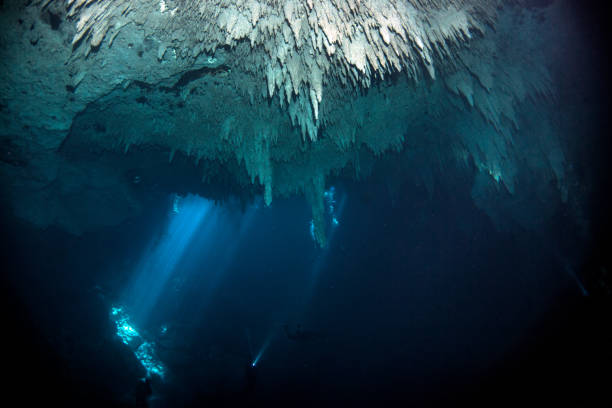 istock Scuba diving in the Cenote The Pit in Mexico 1013179978
