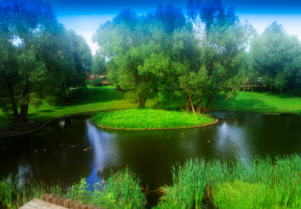 Dramatic osland in Moscow city park background