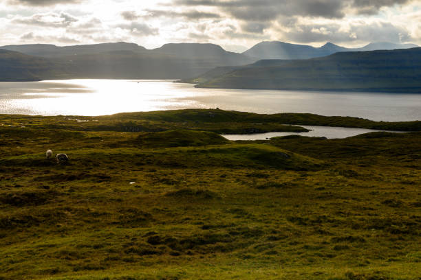 istock Faroe Island, Kingdom of Denmark 1013182532