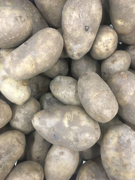 istock A piles of raw potatoes 1013182582