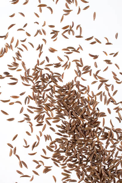 istock Caraway or  cumin  seeds isolated on white background. Top view 1013199066