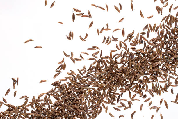 istock Caraway or  cumin  seeds isolated on white background. Top view 1013199104